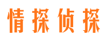 庐阳市侦探公司